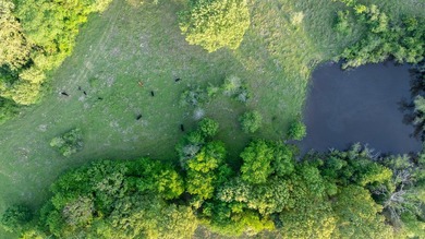 Just outside Athens, Texas, this exceptional 250-acre ranch - photo 21