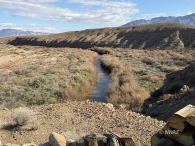 (private lake, pond, creek) Lot For Sale in Littlefield Arizona