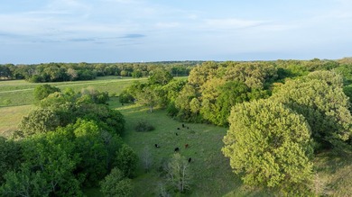 Just outside Athens, Texas, this exceptional 250-acre ranch - photo 22