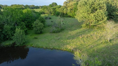 Just outside Athens, Texas, this exceptional 250-acre ranch - photo 24