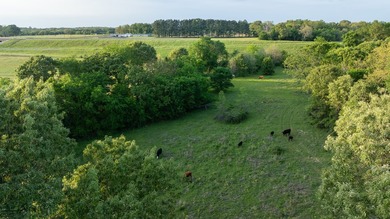 Just outside Athens, Texas, this exceptional 250-acre ranch - photo 25
