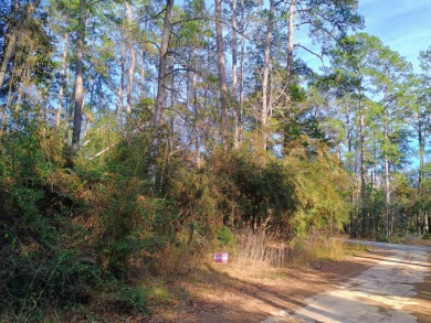 Private Lakes, 2 Lot Package, Golf Cart Friendly Community, - photo 8