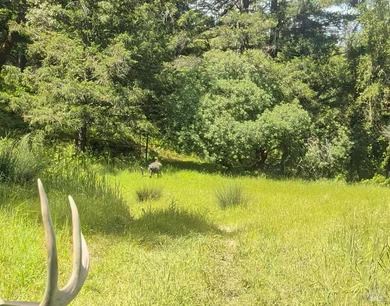 Ever dream of owning a slice of Northern California property - photo 29