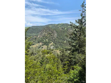 Ever dream of owning a slice of Northern California property - photo 30