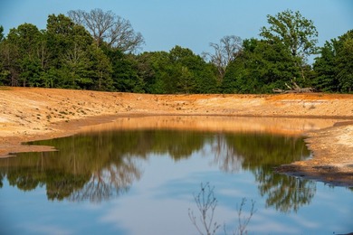 Just outside Athens, Texas, this exceptional 250-acre ranch - photo 30