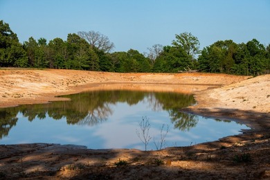 Just outside Athens, Texas, this exceptional 250-acre ranch - photo 31