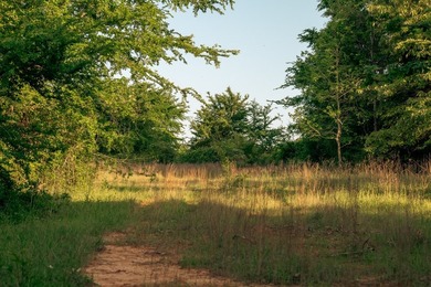 Just outside Athens, Texas, this exceptional 250-acre ranch - photo 32
