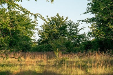 Just outside Athens, Texas, this exceptional 250-acre ranch - photo 33