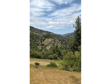 Ever dream of owning a slice of Northern California property - photo 36