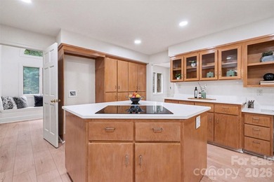 Spectacularly updated Belmont home with owners' suite on the - photo 8