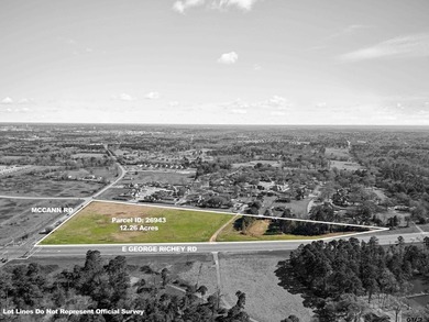 **Prime Commercial Land for Sale in Longview - 12+ Acres** - photo 3