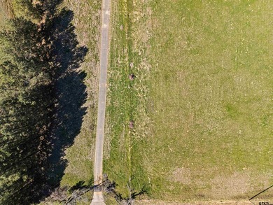 **Prime Commercial Land for Sale in Longview - 12+ Acres** - photo 10