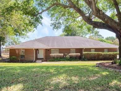 Lake Home For Sale in Orlando, Florida