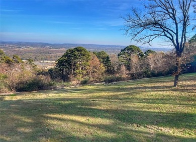 One of Russellville's most iconic homes, this Mediterranean - photo 30