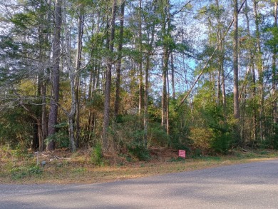 Private Lakes, 2 Lot Package, Golf Cart Friendly Community, - photo 2