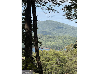Welcome to lot 7 in Whiskey Mountain Estates, where unparalleled - photo 10