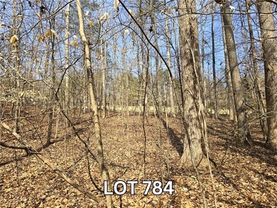 Build your dream home on Lot 784 S Hogan Drive in the exclusive - photo 1
