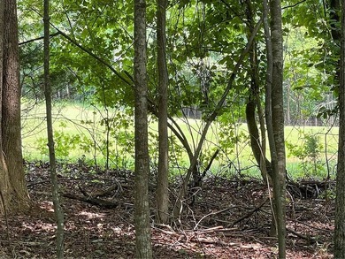 Build your dream home on Lot 784 S Hogan Drive in the exclusive - photo 2