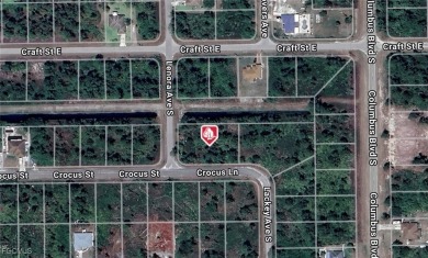 Lehigh Acres Area Lot For Sale in Lehigh Acres Florida