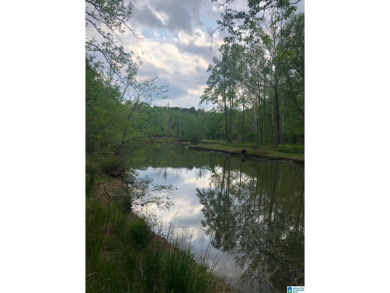 Lake Acreage For Sale in Wedowee, Alabama