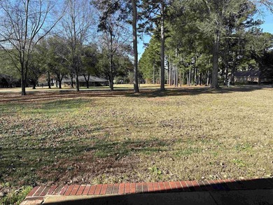 Charming 1998 Brick Home with Spacious Living and Modern - photo 40