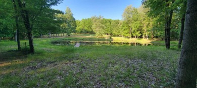 Lake Acreage For Sale in Allegan, Michigan