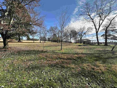Charming 1998 Brick Home with Spacious Living and Modern - photo 41