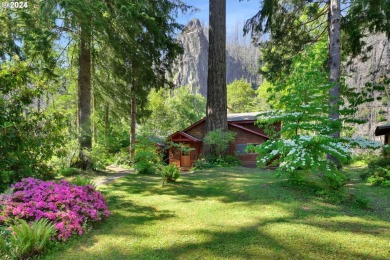 Lake Home For Sale in Vida, Oregon