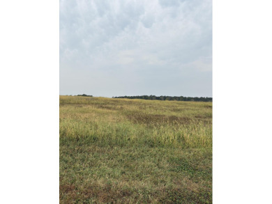 Fellows Lake Acreage Sale Pending in Springfield Missouri