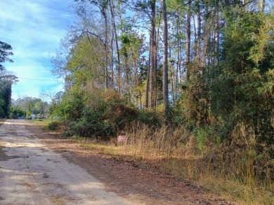 Private Lakes, 2 Lot Package, Golf Cart Friendly Community, - photo 7