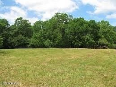Norris Lake Lot For Sale in Lafollette Tennessee