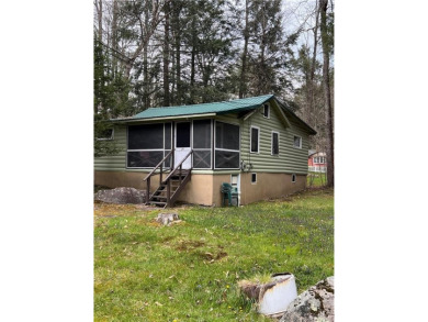 Lake Home For Sale in Bethel, New York