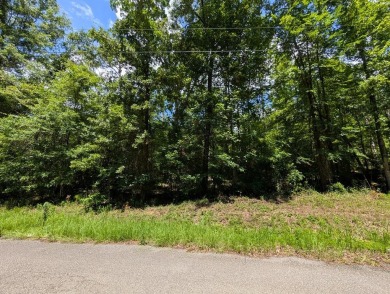 Lake Lot For Sale in Abbeville, Alabama