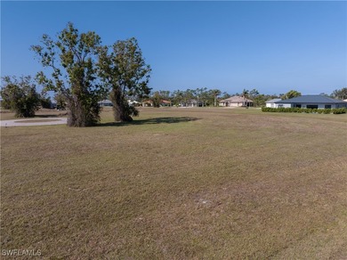 Welcome to Your Future Home in Burnt Store Lakes - A Slice of - photo 8