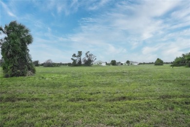 Rotunda Meadows Lakes  Lot For Sale in Placida Florida