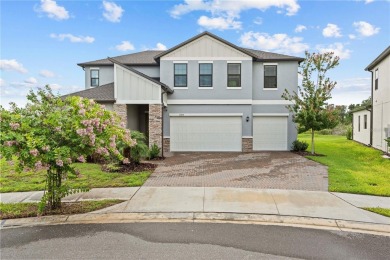 Lake Home For Sale in Land O Lakes, Florida