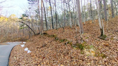 Discover the perfect opportunity to own a premium homesite in - photo 3