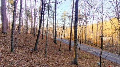 Discover the perfect opportunity to own a premium homesite in - photo 4
