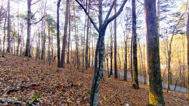 Discover the perfect opportunity to own a premium homesite in - photo 5