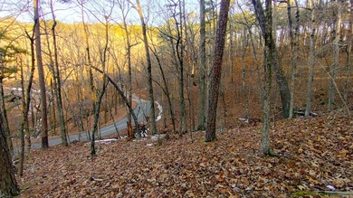 Discover the perfect opportunity to own a premium homesite in - photo 6