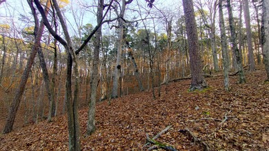 Discover the perfect opportunity to own a premium homesite in - photo 7