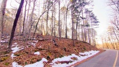 Discover the perfect opportunity to own a premium homesite in - photo 8