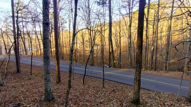 Discover the perfect opportunity to own a premium homesite in - photo 9