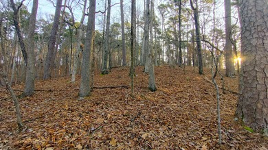 Discover the perfect opportunity to own a premium homesite in - photo 10