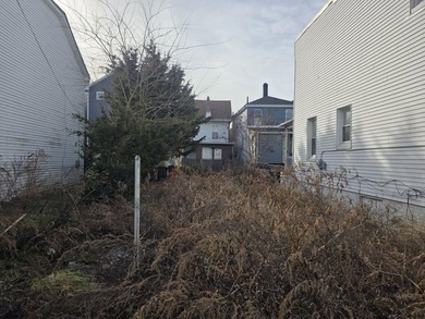 123 N. Georgia Ave 'Rear' is an undersized, vacant residential - photo 8