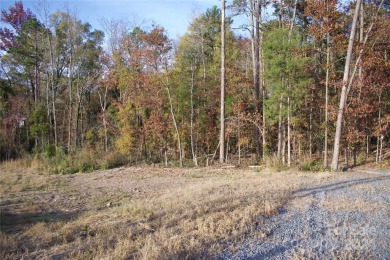 Lake Acreage For Sale in Albemarle, North Carolina