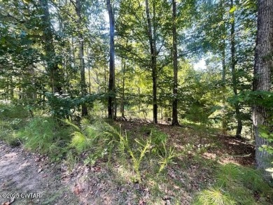 Lake Lot For Sale in Lexington, Tennessee