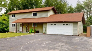 Lake Home For Sale in Solon, Iowa