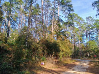 Private Lakes, 2 Lot Package, Golf Cart Friendly Community, - photo 9