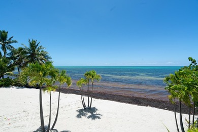 Beach Retreat in Lower Matecumbe, Islamorada. This 6 bedroom, 4 - photo 13